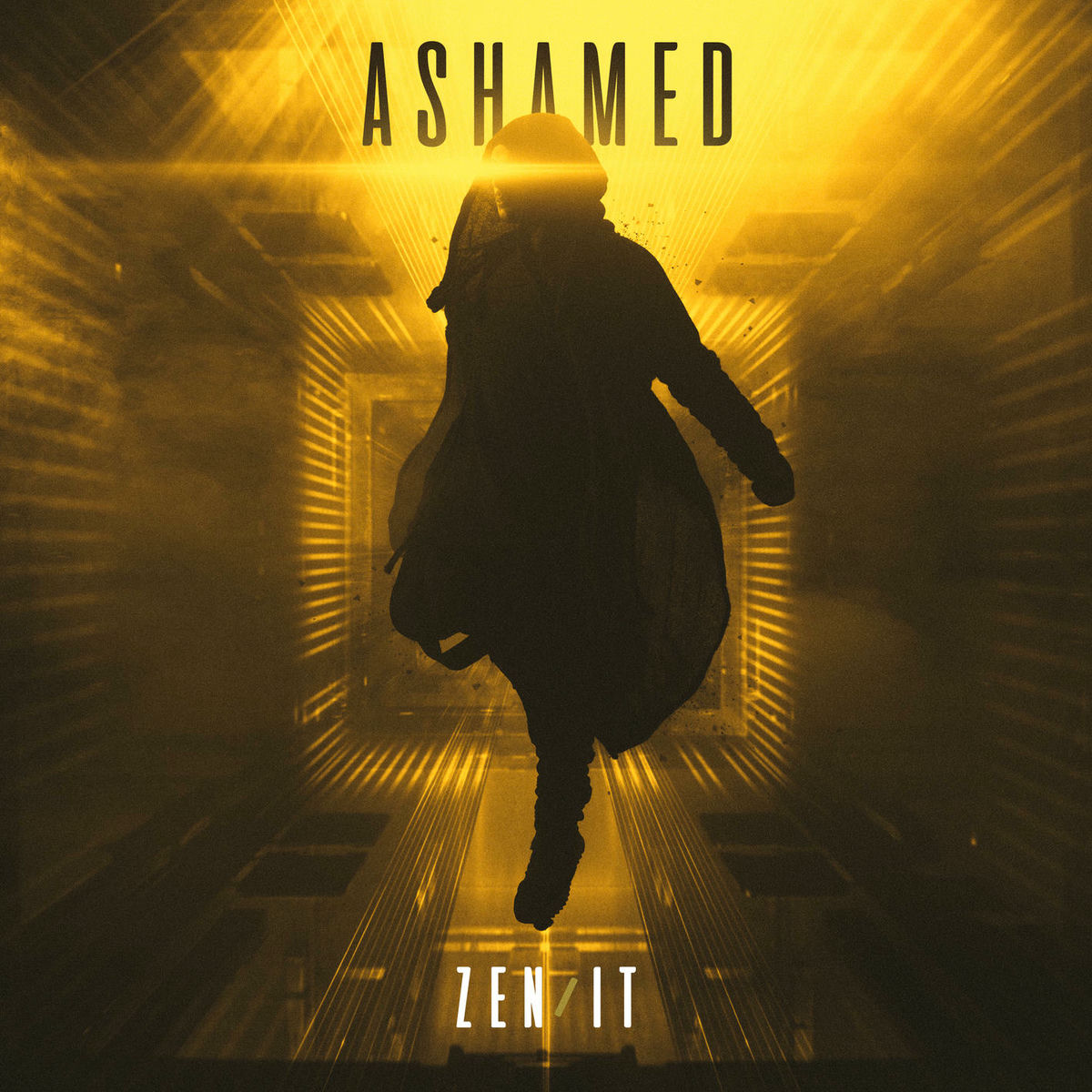 Album cover of Ashamed