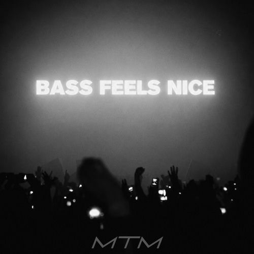 Bass Feels Nice