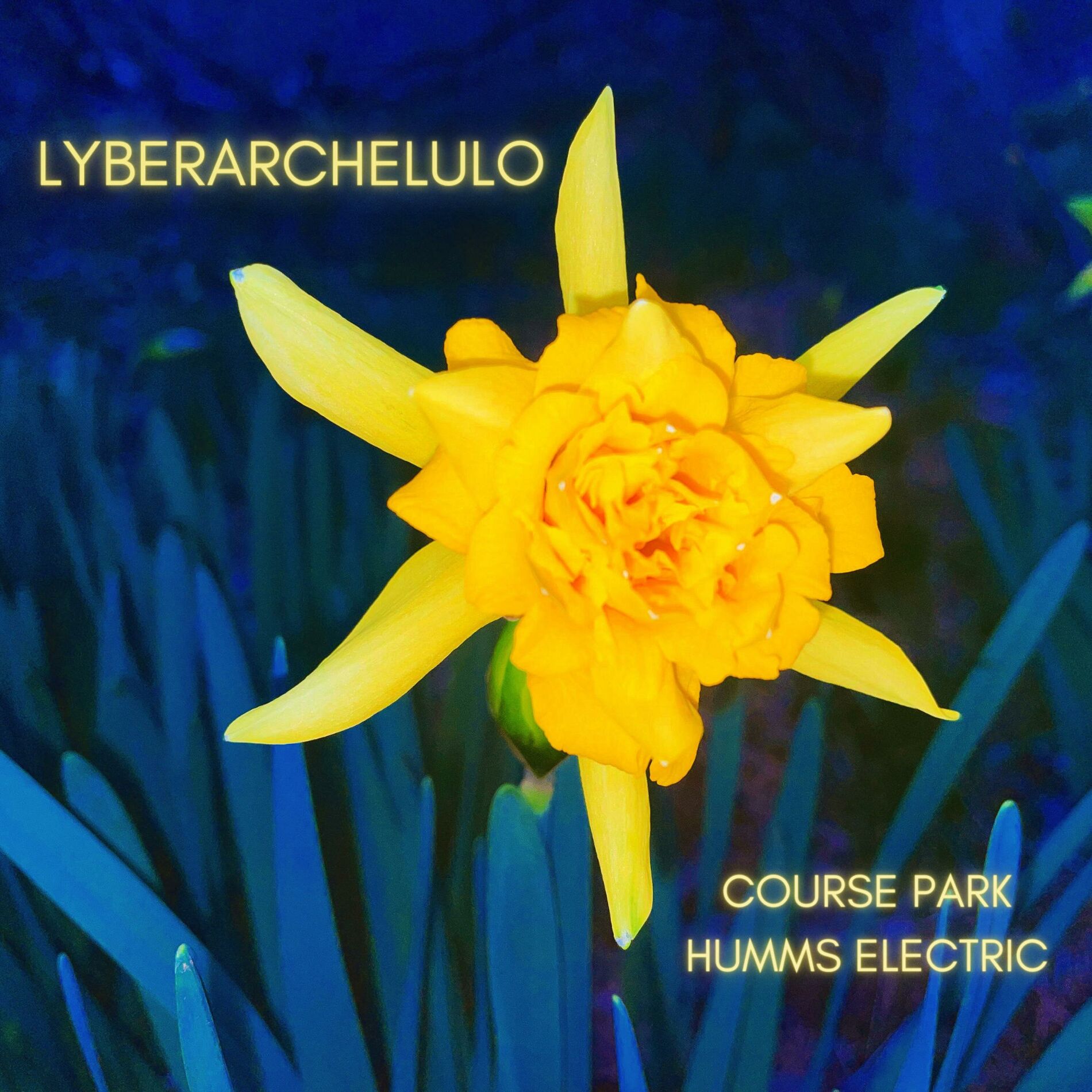 Album cover of Course Park Humms Electric