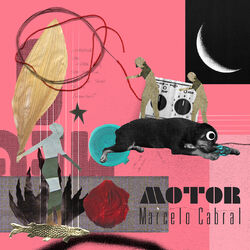 Cover of Motor