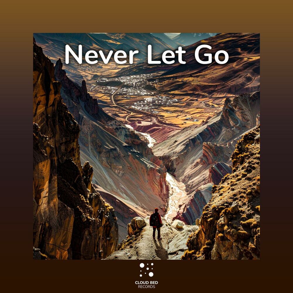 Picture of Never Let Go