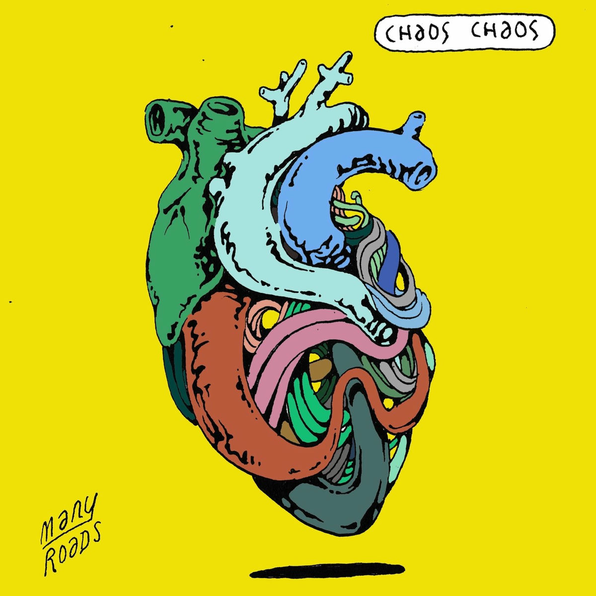 Album cover of Many Roads