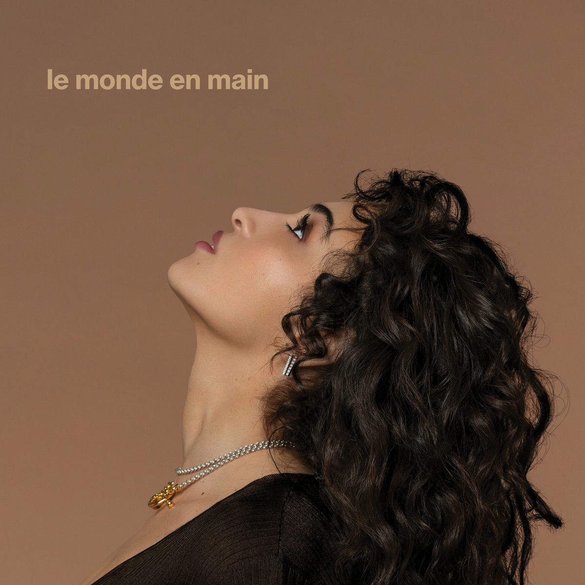 Album cover of Le monde en main (Radio Edit)