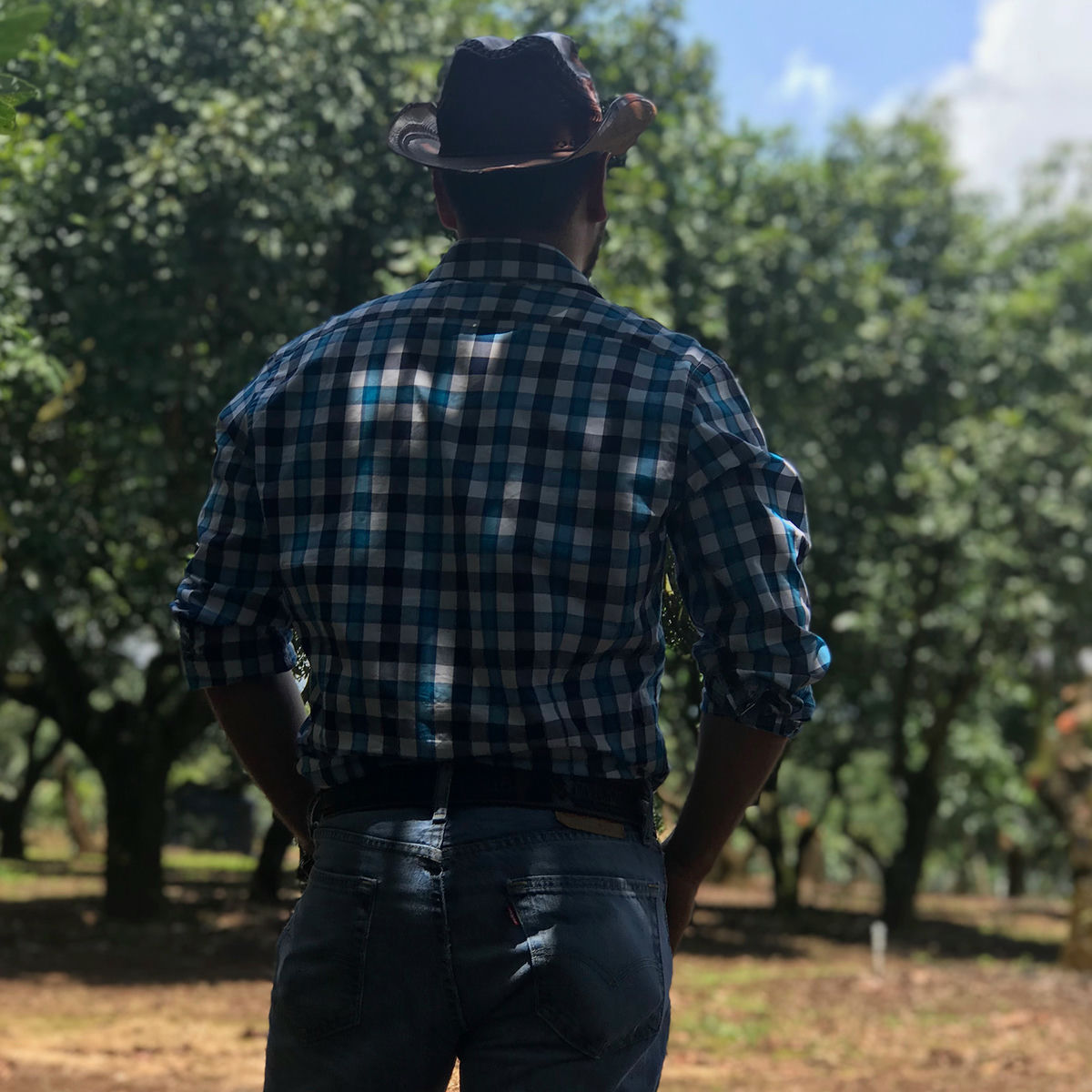 Album cover of El Michoacano