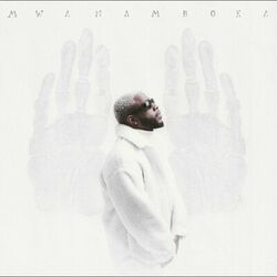 Cover of Mwanamboka