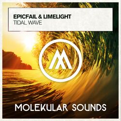 Cover of Tidal Wave
