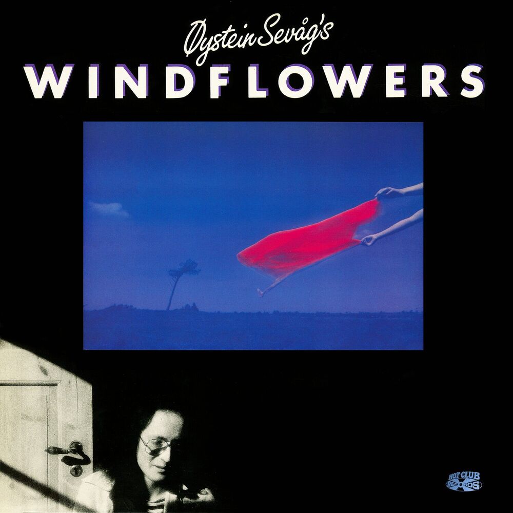 Picture of Windflowers