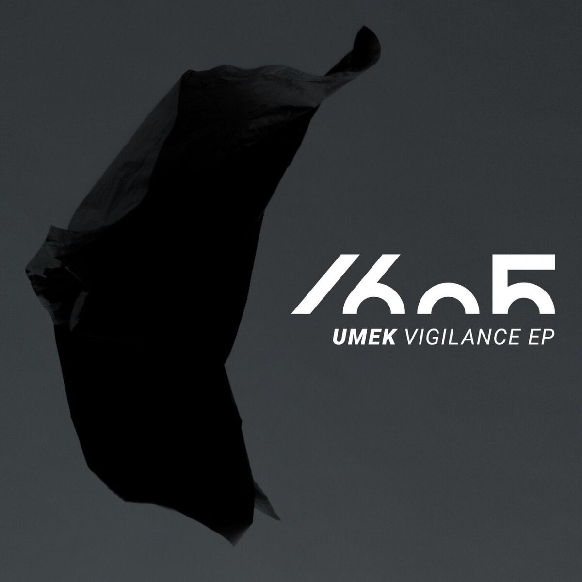 Album cover of Vigilance