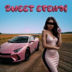 Cover of Sweet Efendi