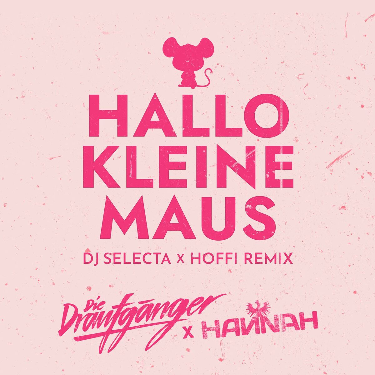 Album cover of Hallo kleine Maus