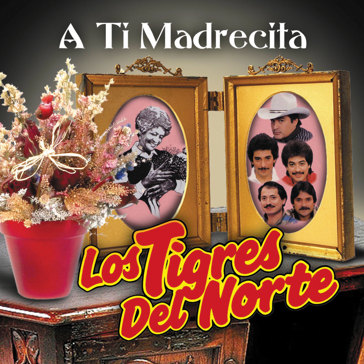 Album cover of Madrecita Querida