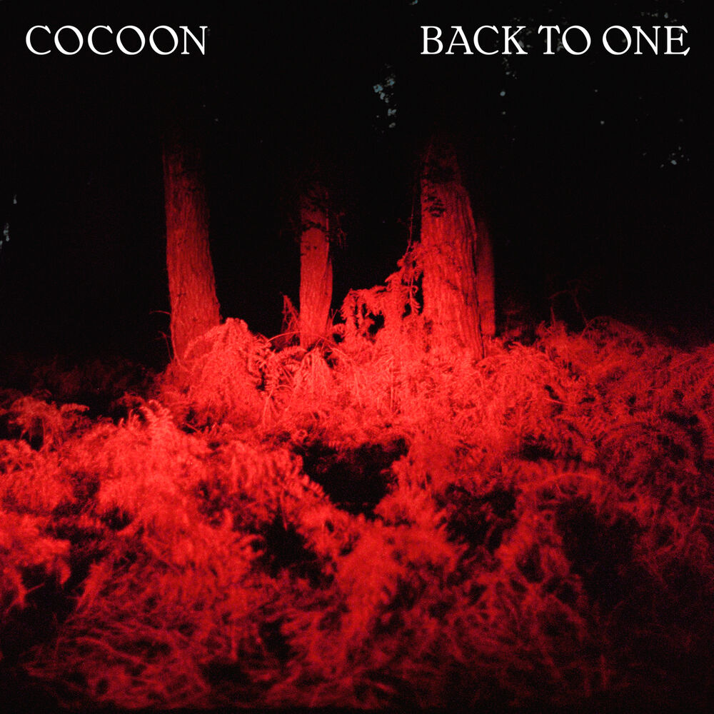 Picture of Back To One
