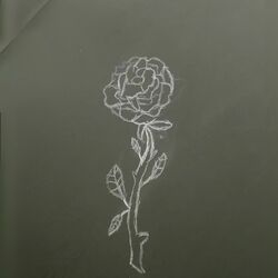 Cover of Like this