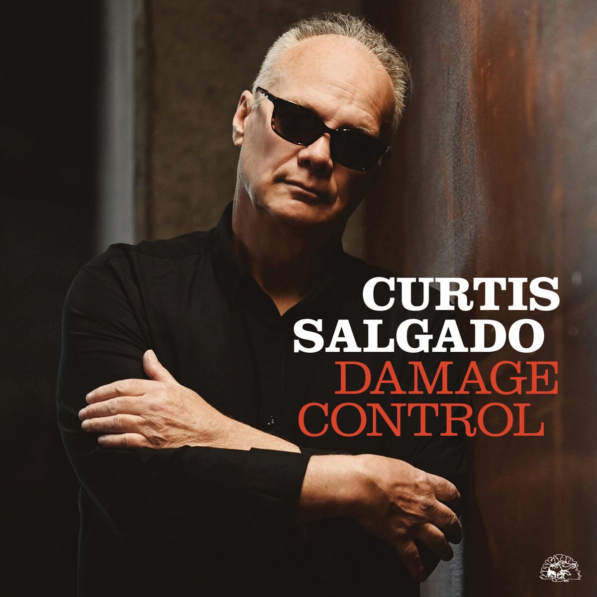 Album cover of Damage Control