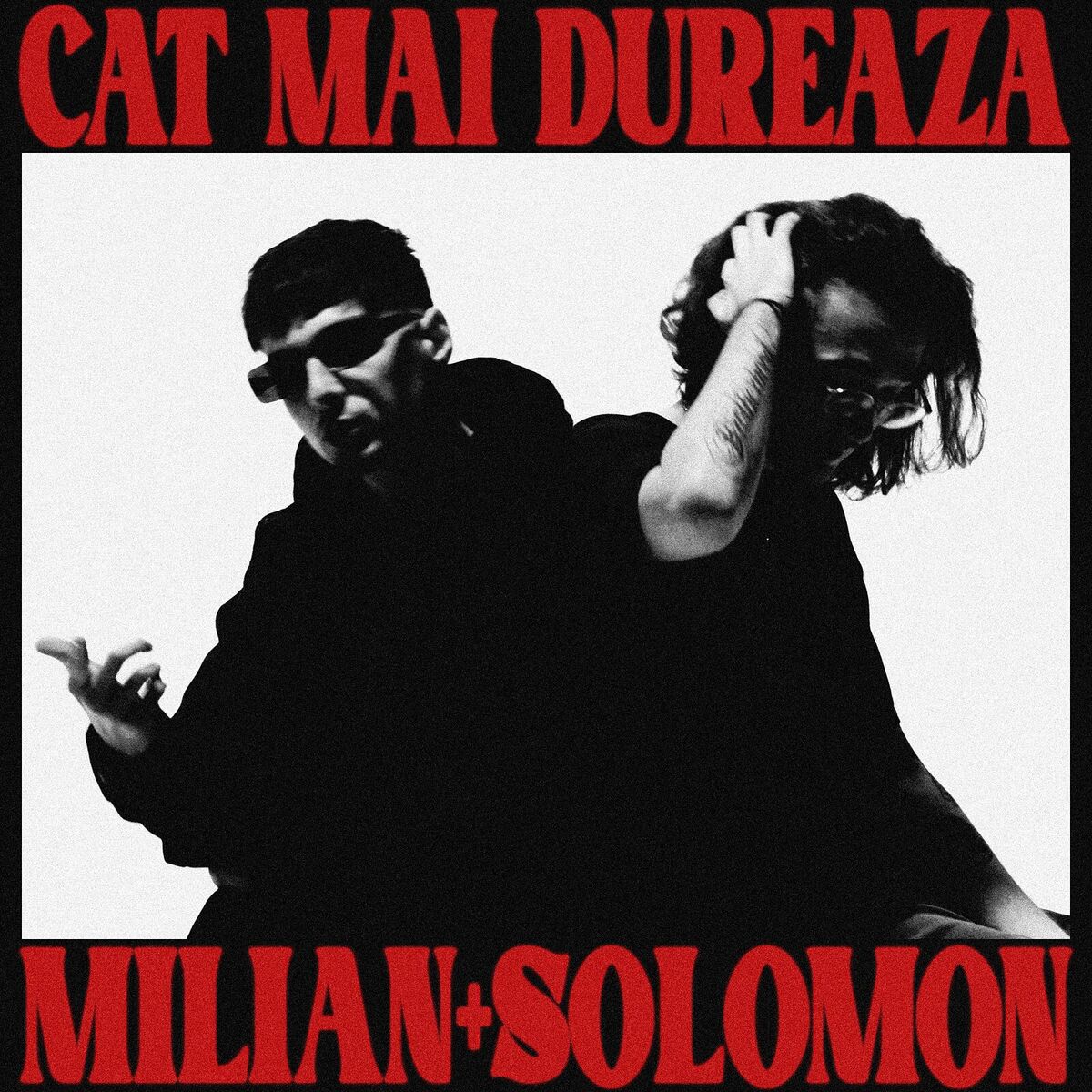 Album cover of Cat Mai Dureaza