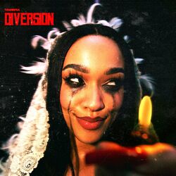 Cover of Diversion
