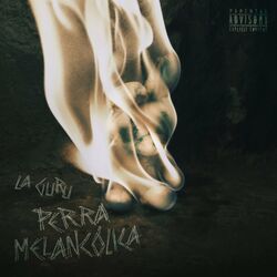 Cover of Perra Melancólica