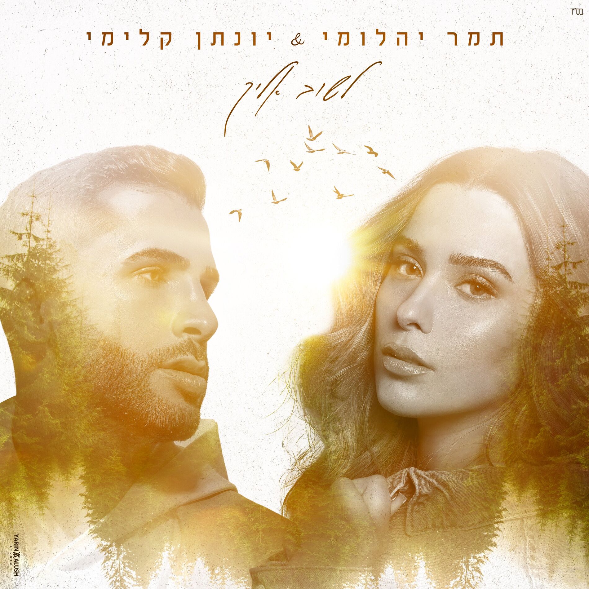 Album cover of לשוב אליך