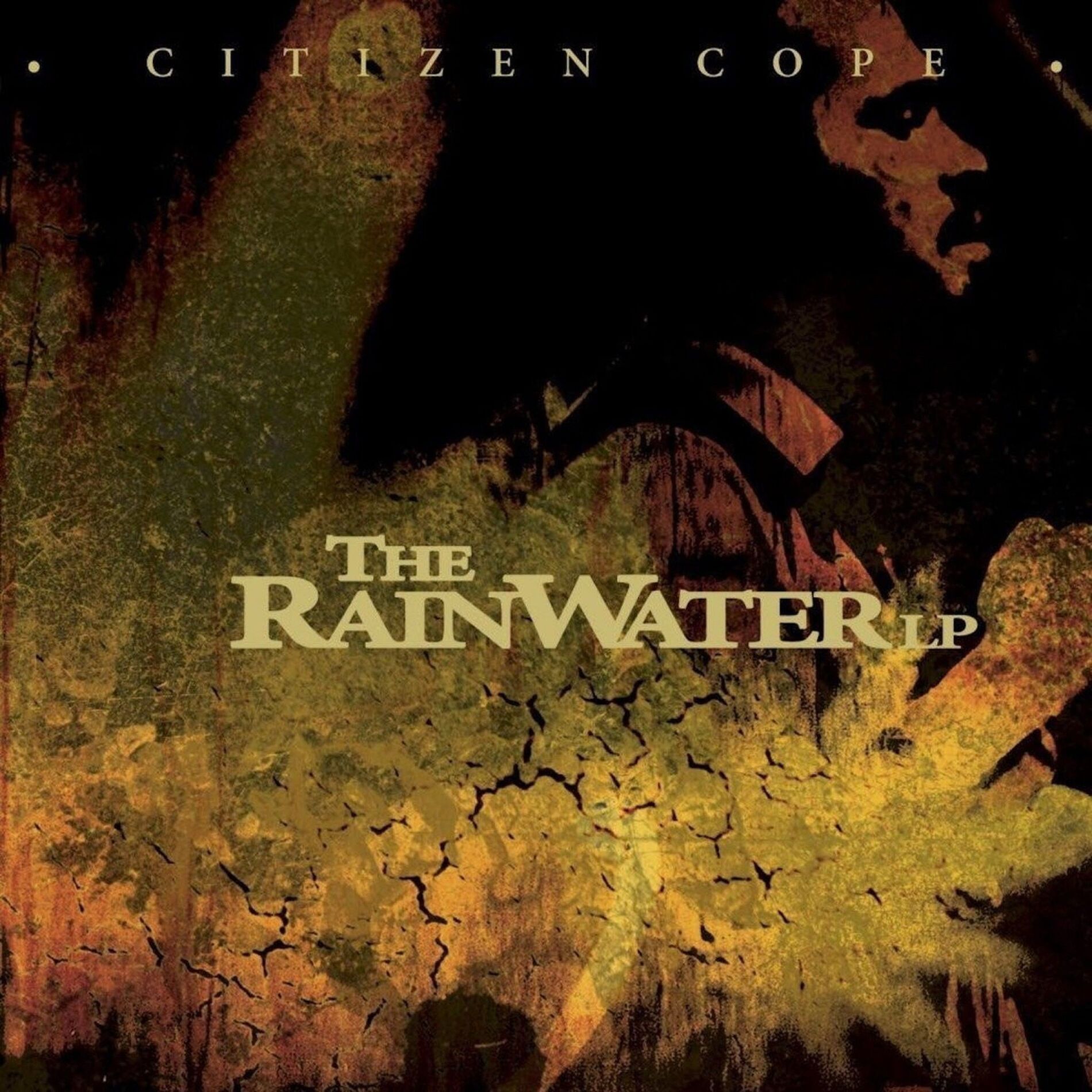 Album cover of The Rainwater
