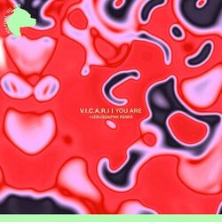 Cover of You Are