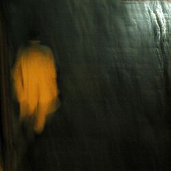 Cover of Fear and the Lizard People of Pretoria