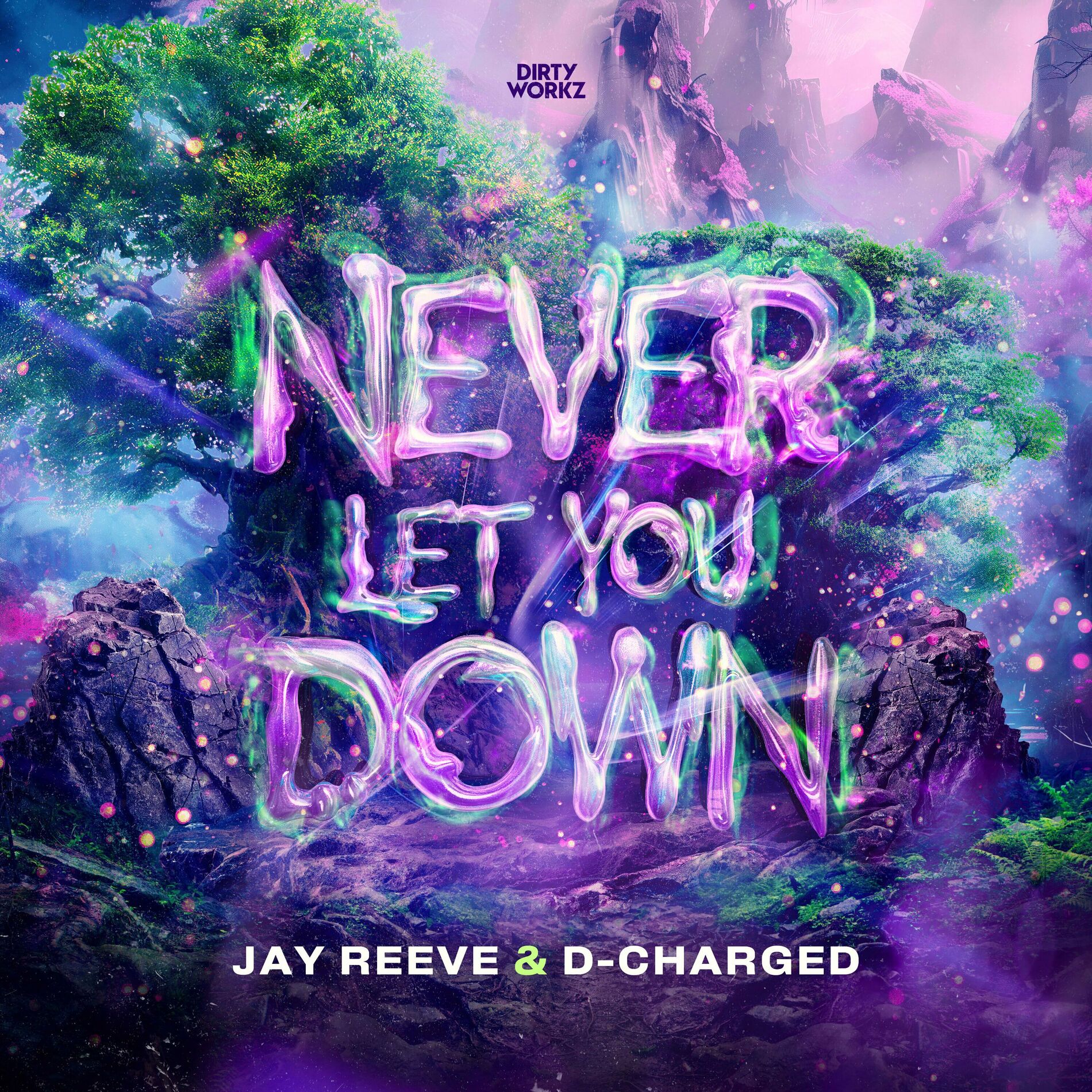 Album cover of Never Let You Down