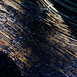 Cover of PRL_S07