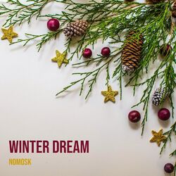 Cover of Winter Dream
