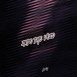 Cover of Into The Void