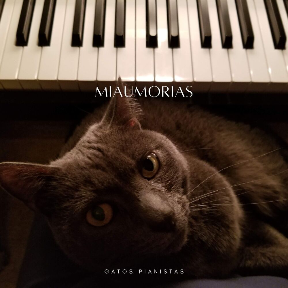Picture of Miaumorias: Gatos Pianistas