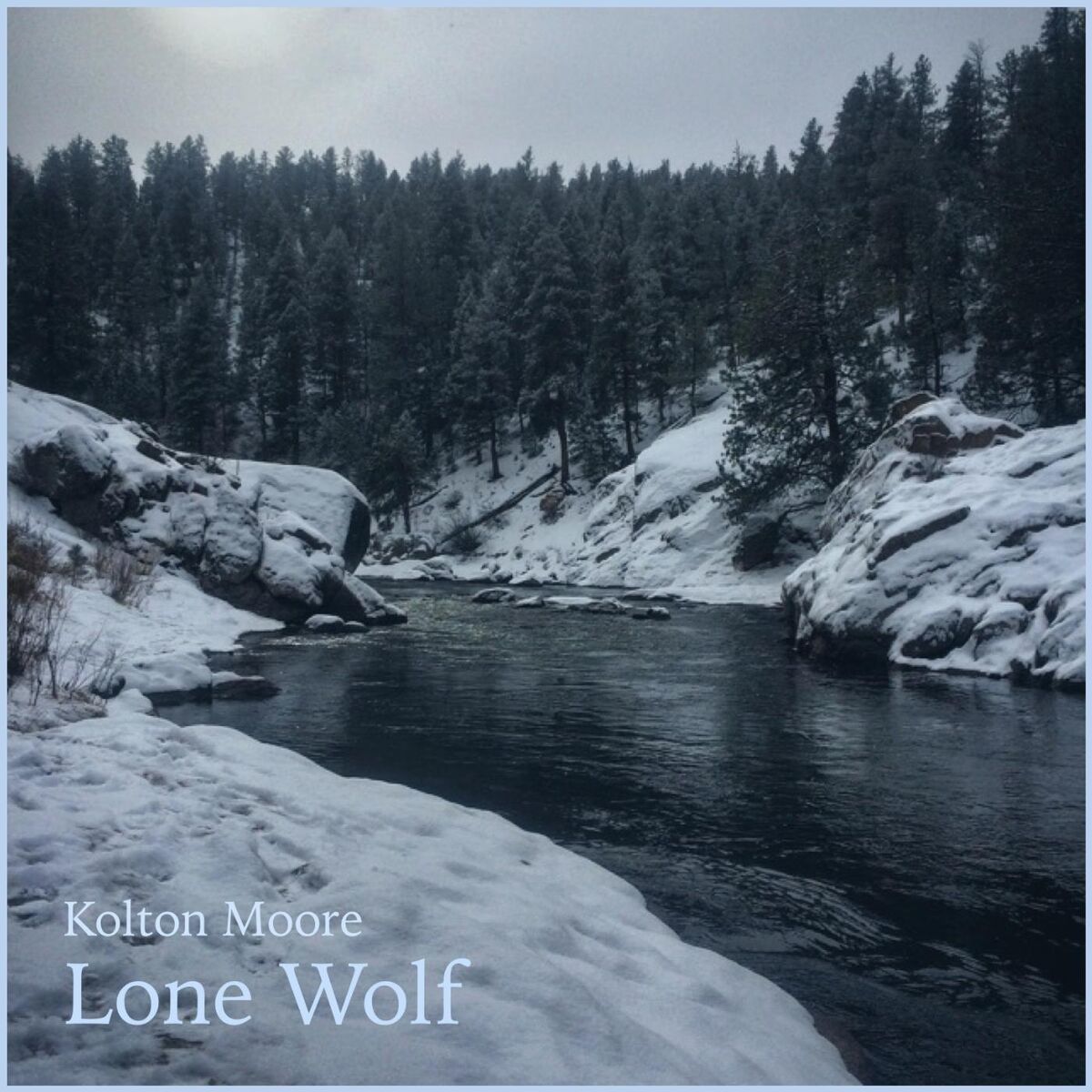 Album cover of Lone Wolf