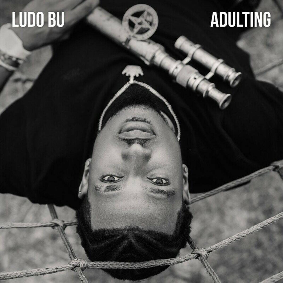 Album cover of Adulting 2