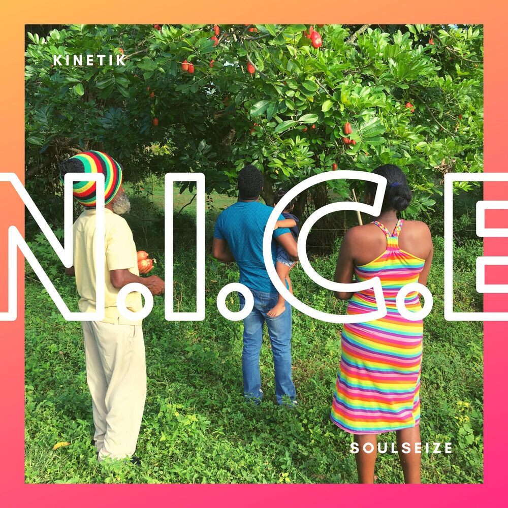 Picture of N.I.C.E.
