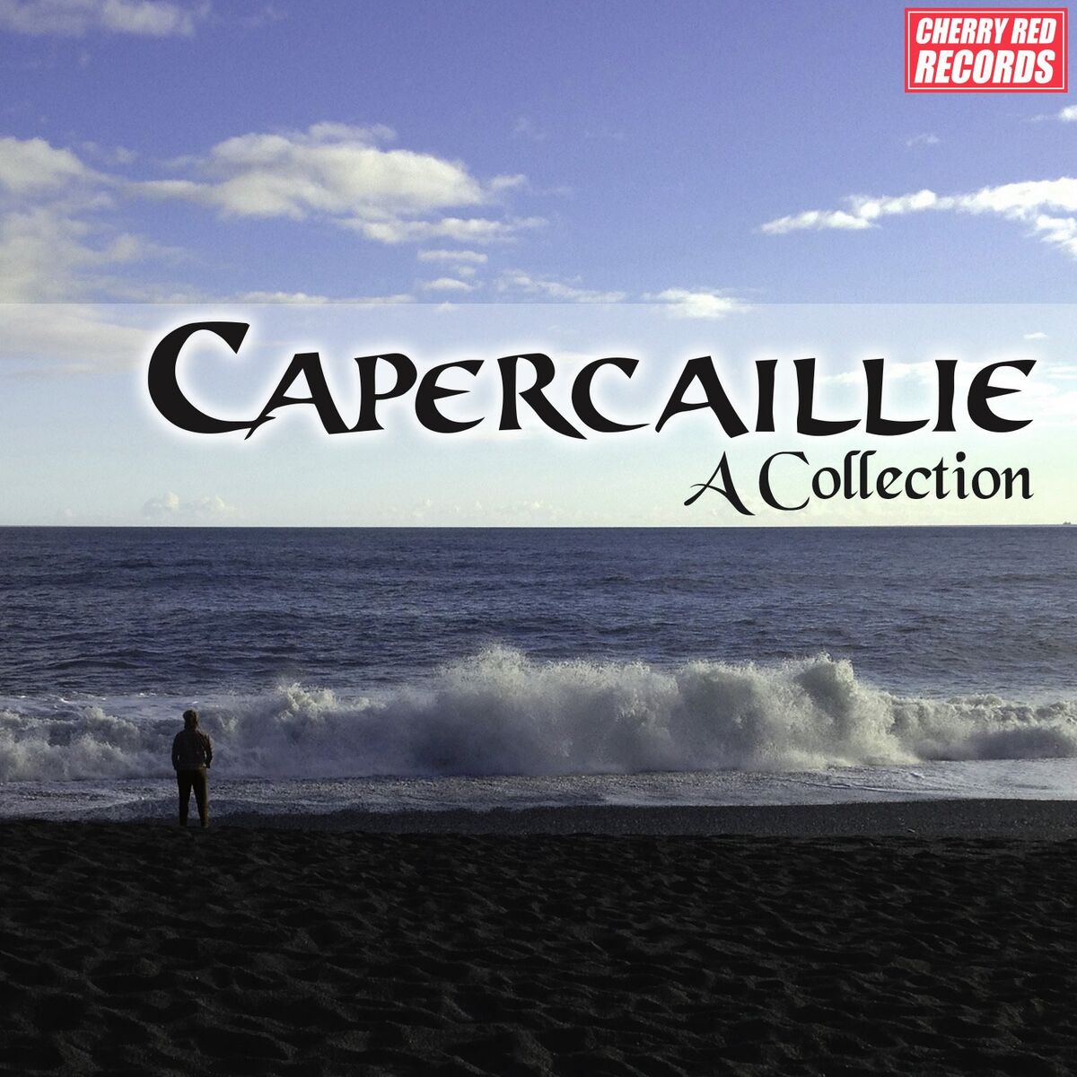 Album cover of Capercaillie: A Collection