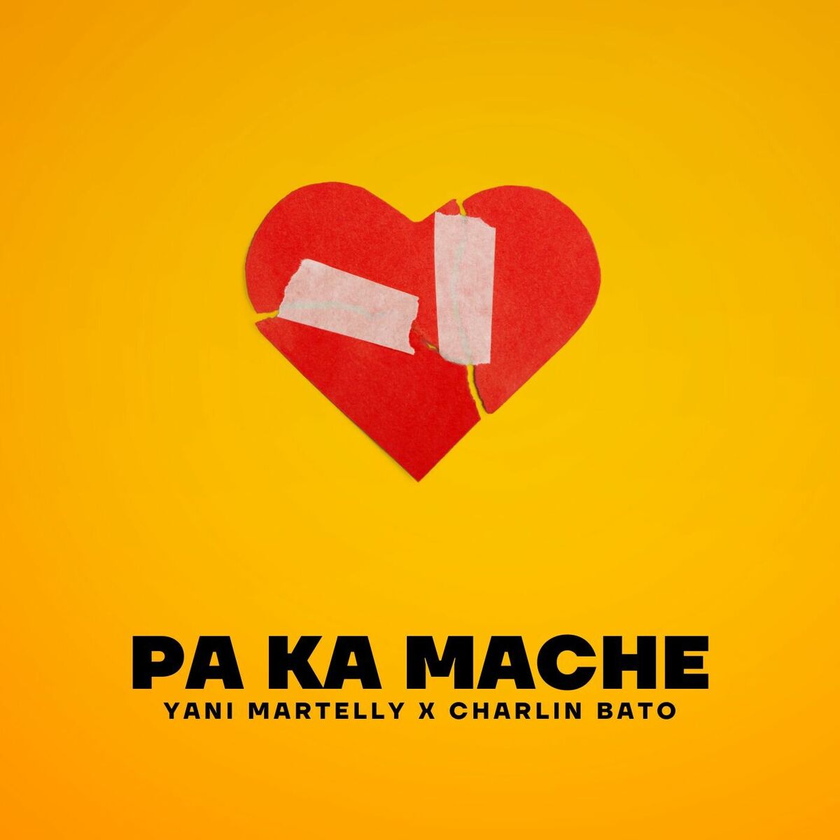Album cover of Pa ka Mache