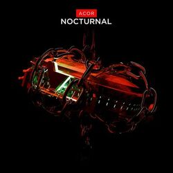 Cover of Nocturnal