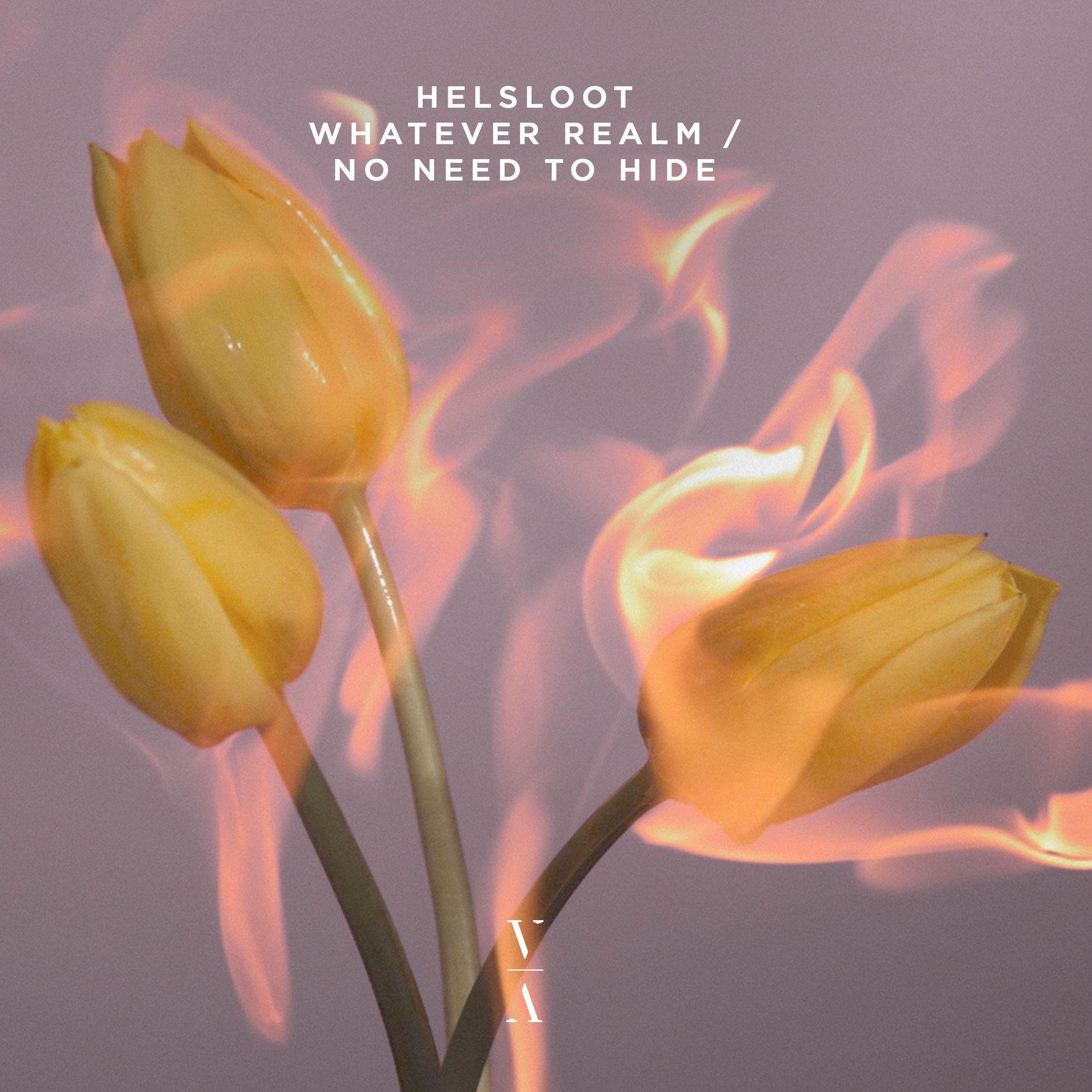Album cover of No Need To Hide