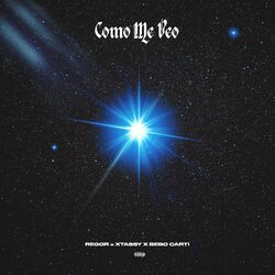 Cover of Como me veo