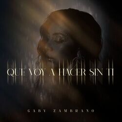 Cover of Qué Voy a Hacer Sin Ti