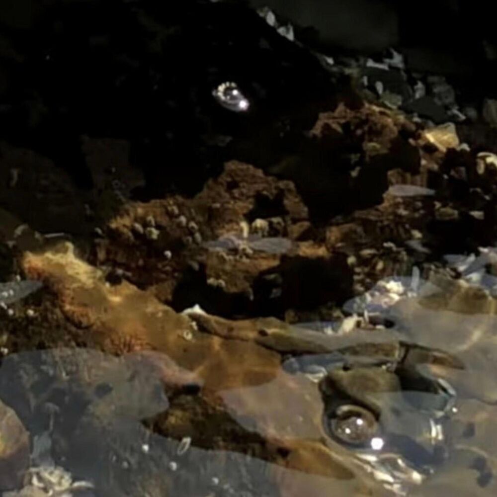 Picture of Renders of Music for Video