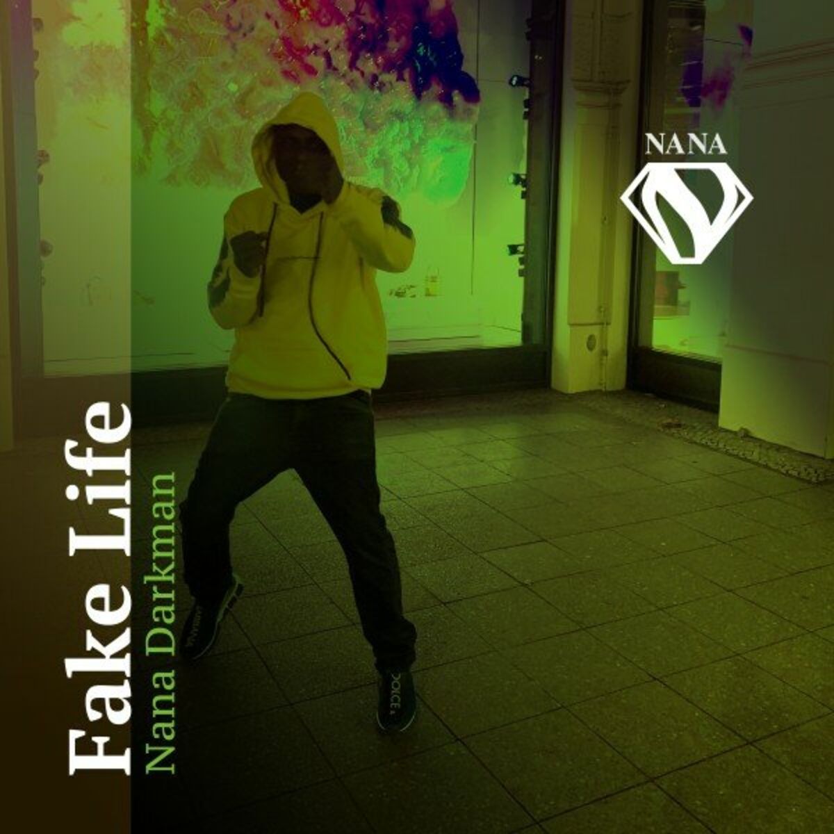 Album cover of Fake Life
