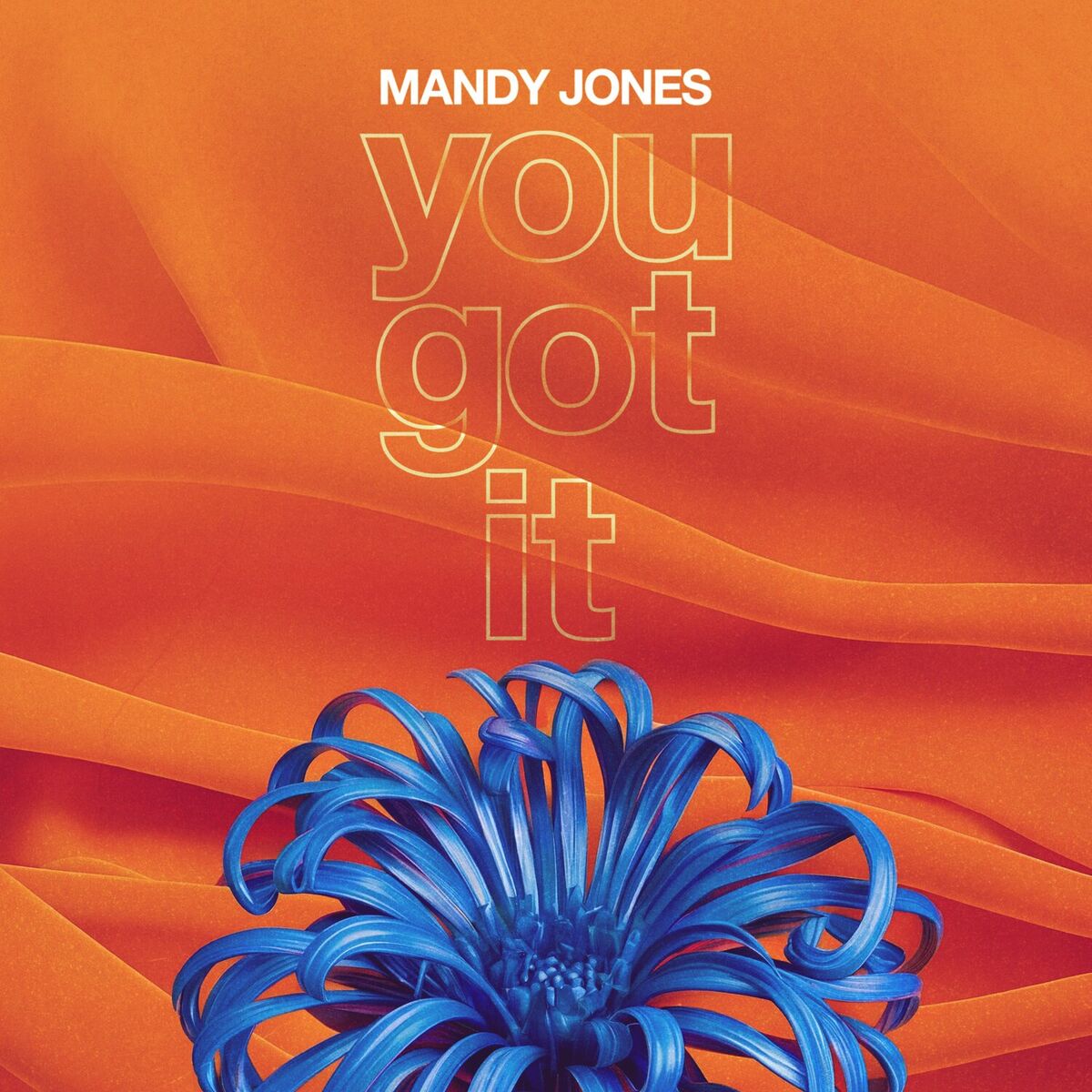Album cover of You Got It