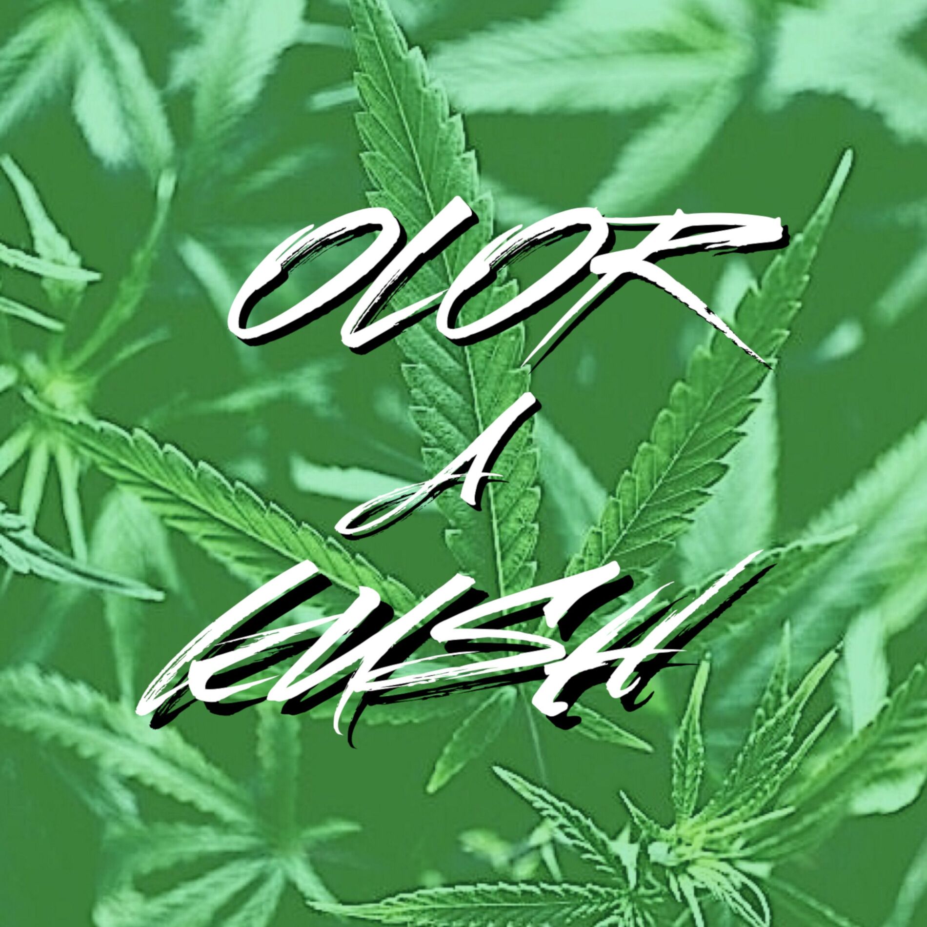 Album cover of Olor A Kush