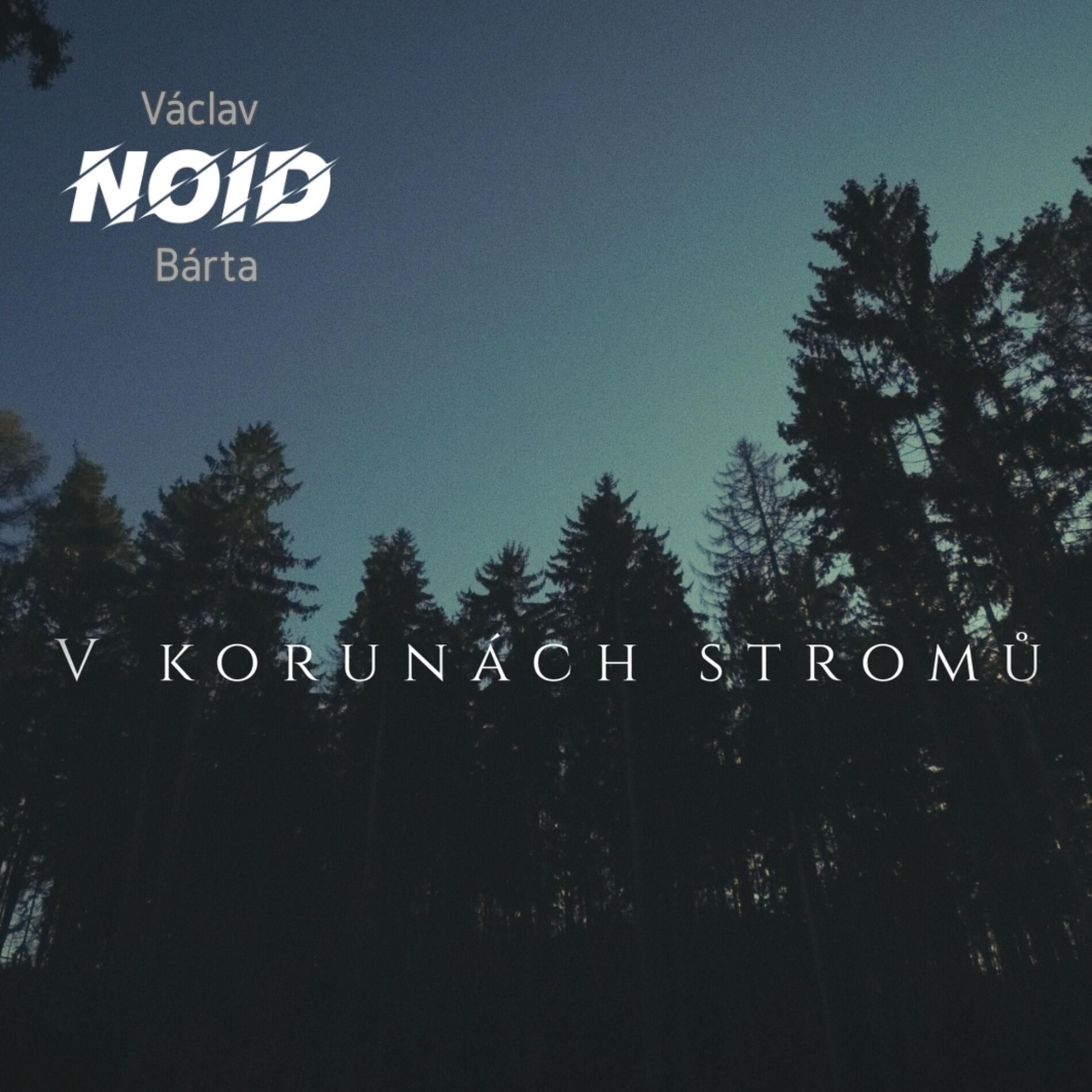 Album cover of V korunách stromů