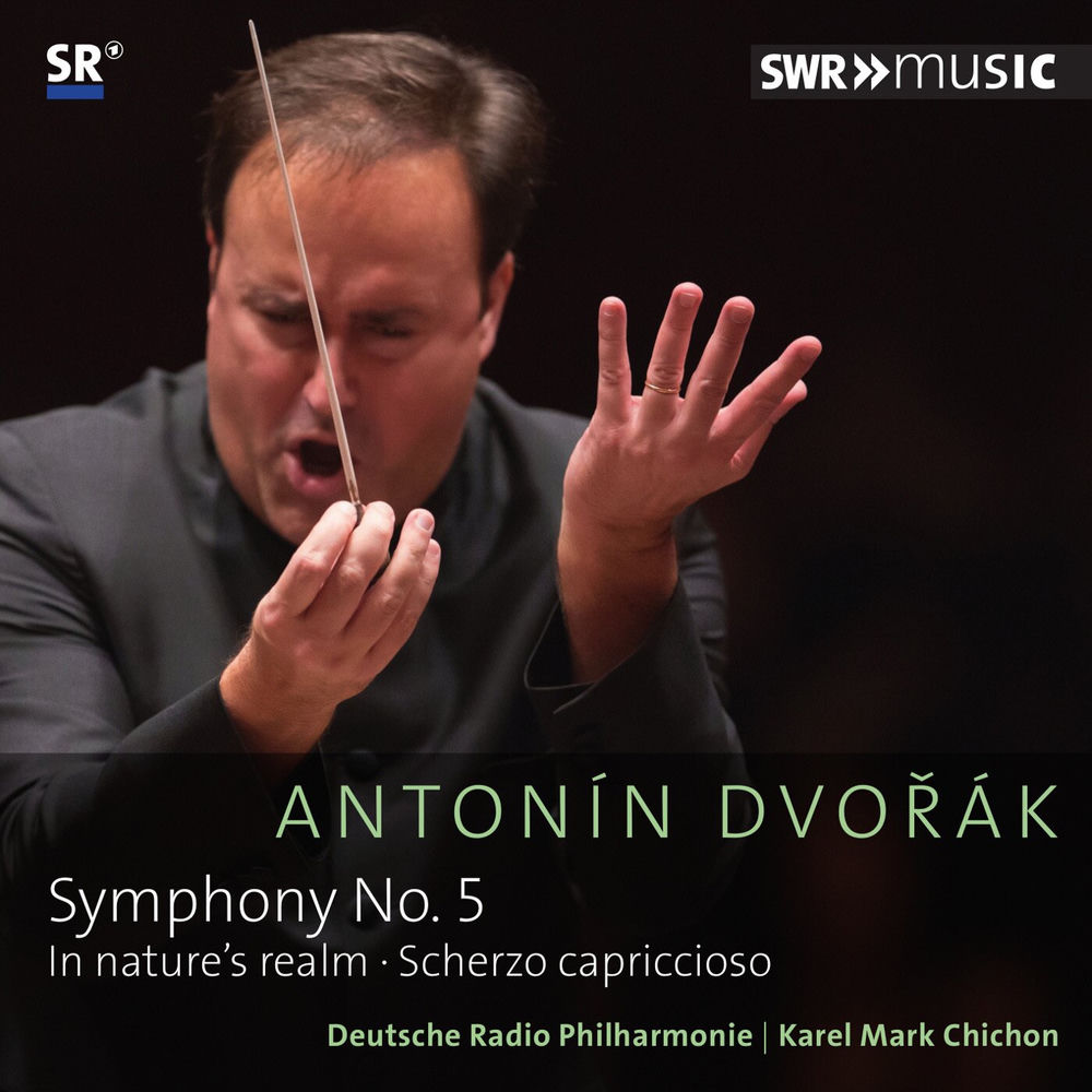 Symphony No. 5 in F Major, Op. 76, B. 54: I. Allegro, ma non troppo