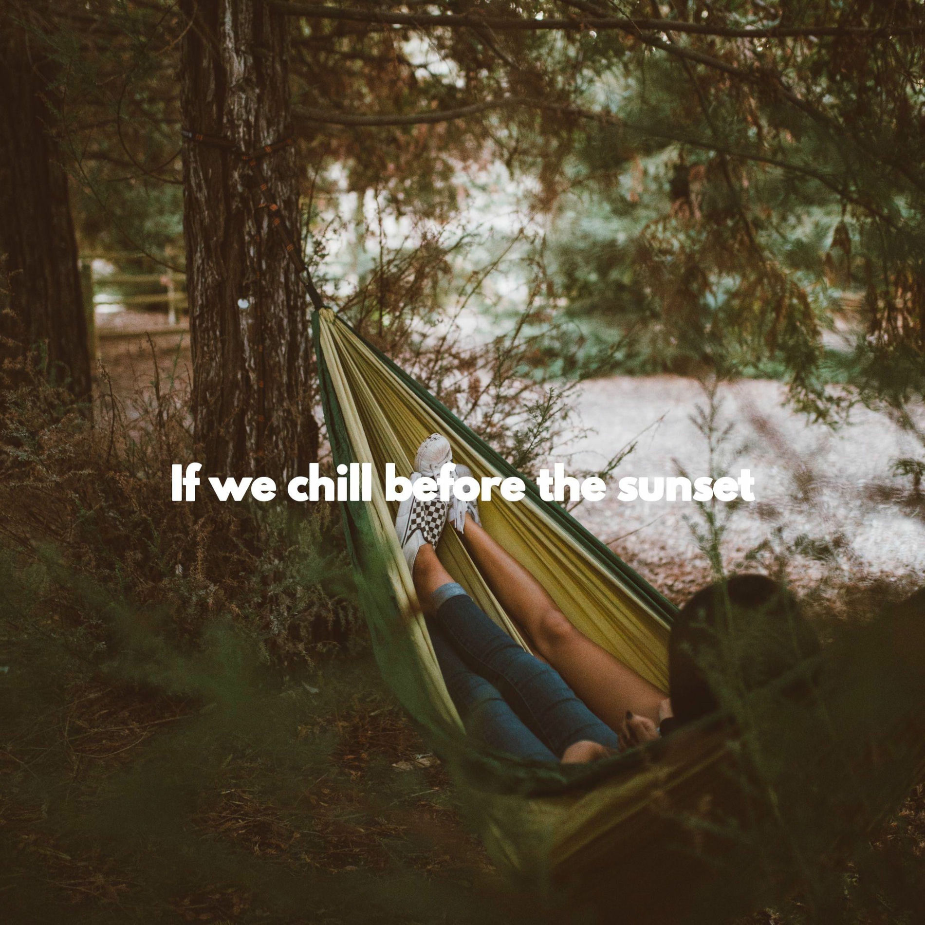 Album cover of If we chill before the sunset