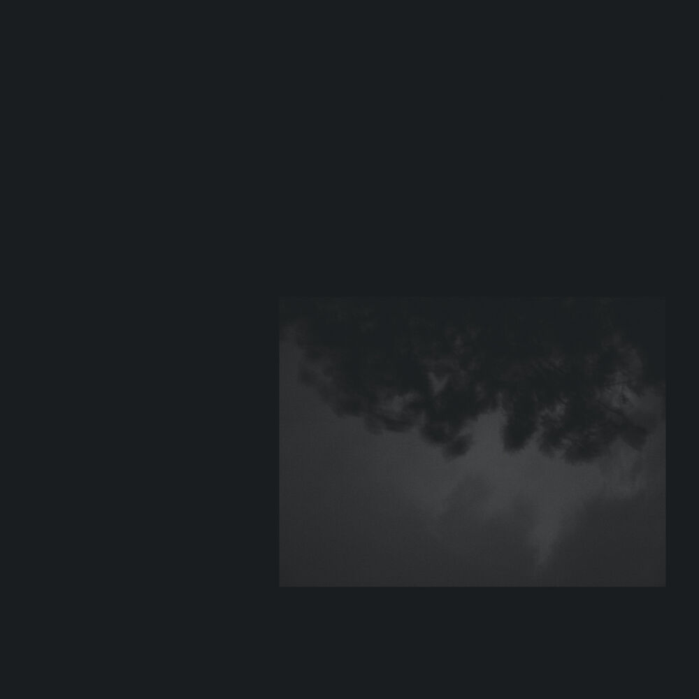 Picture of What Wind Whispered To The Trees