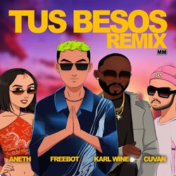 Cover of Tus Besos - Remix