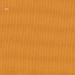 Cover of mi