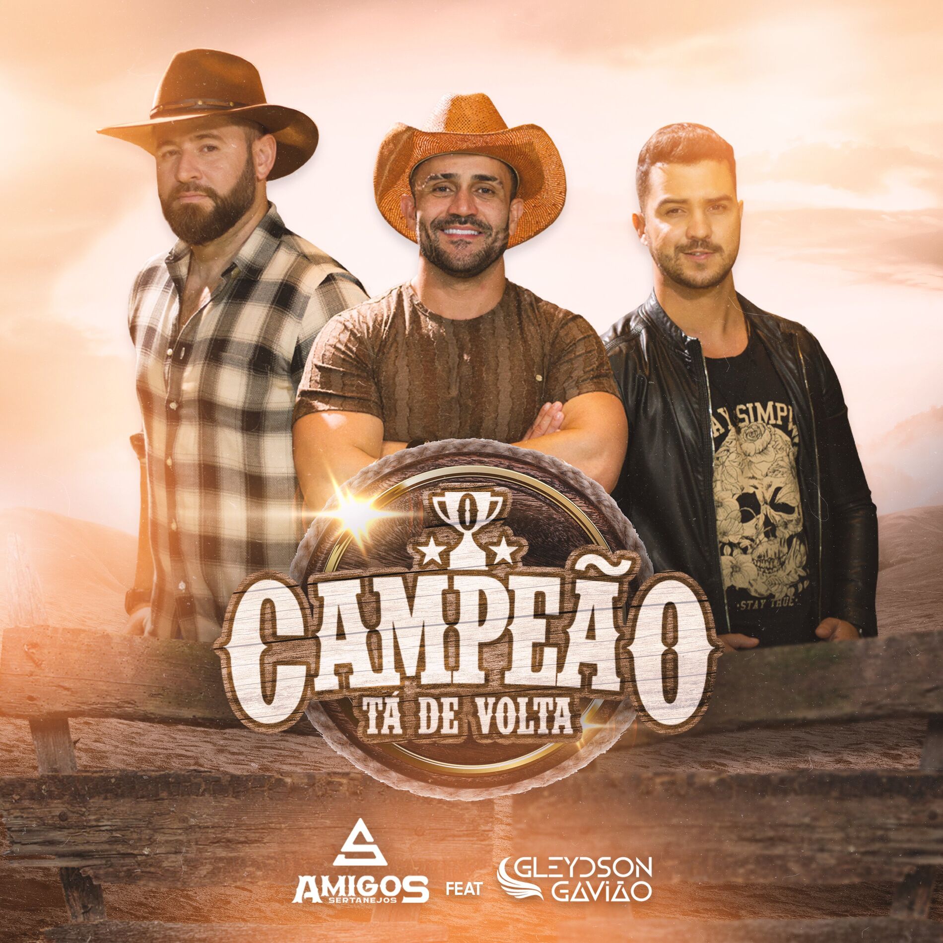 Album cover of O Campeão Tá de Volta